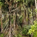 nusalavu_v_0705_0058.jpg